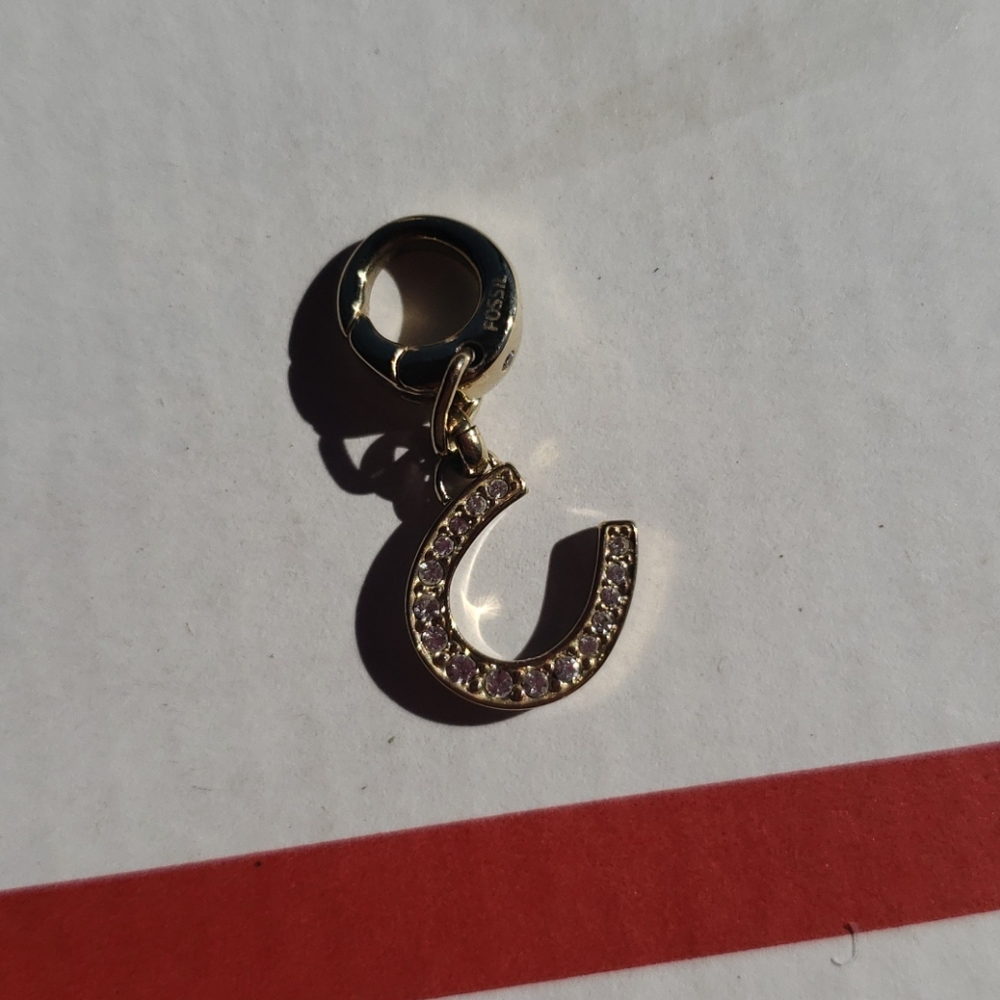 Discontinued Fossil charm